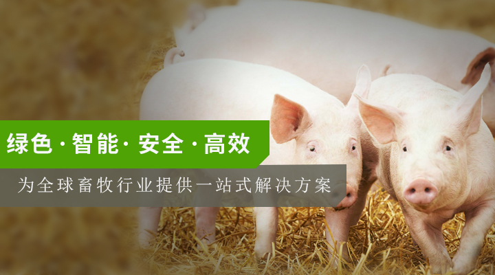 家禽項目.jpg